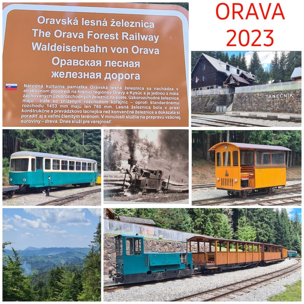 ORAVA